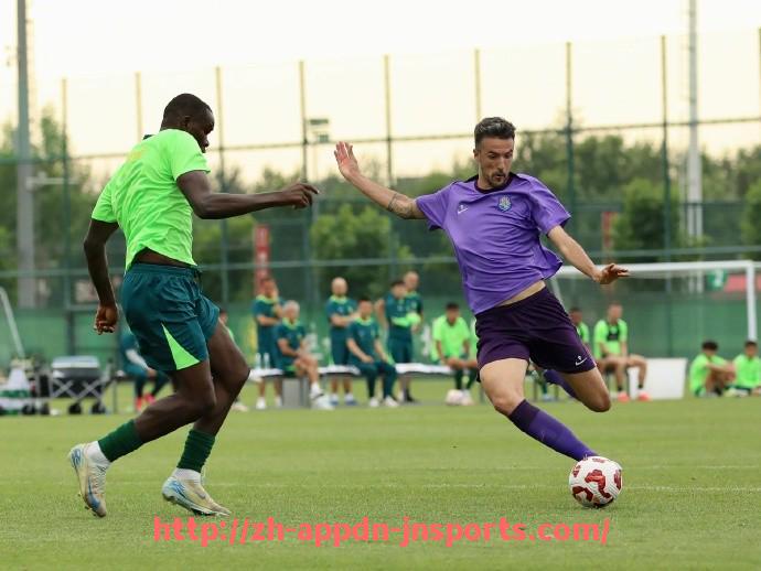 江南体育APP-意甲足球队总身价及市场价值综合分析